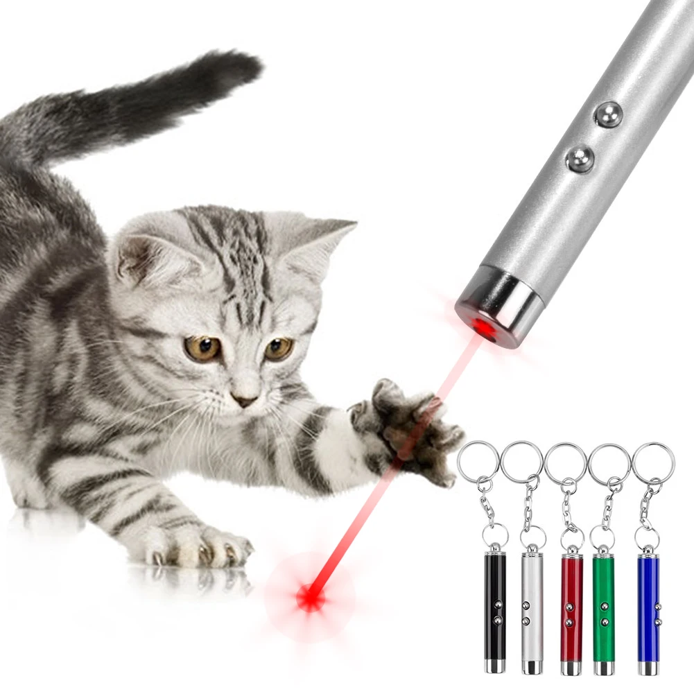 Мини-кошка, собака, красная фотосессия, Лазерная лампа для обучения,  стрелка 4 МВт, игрушки для домашних животных, ручка 2 в 1, игрушка для  кошек, красная лазерная фотография, стрелка | AliExpress
