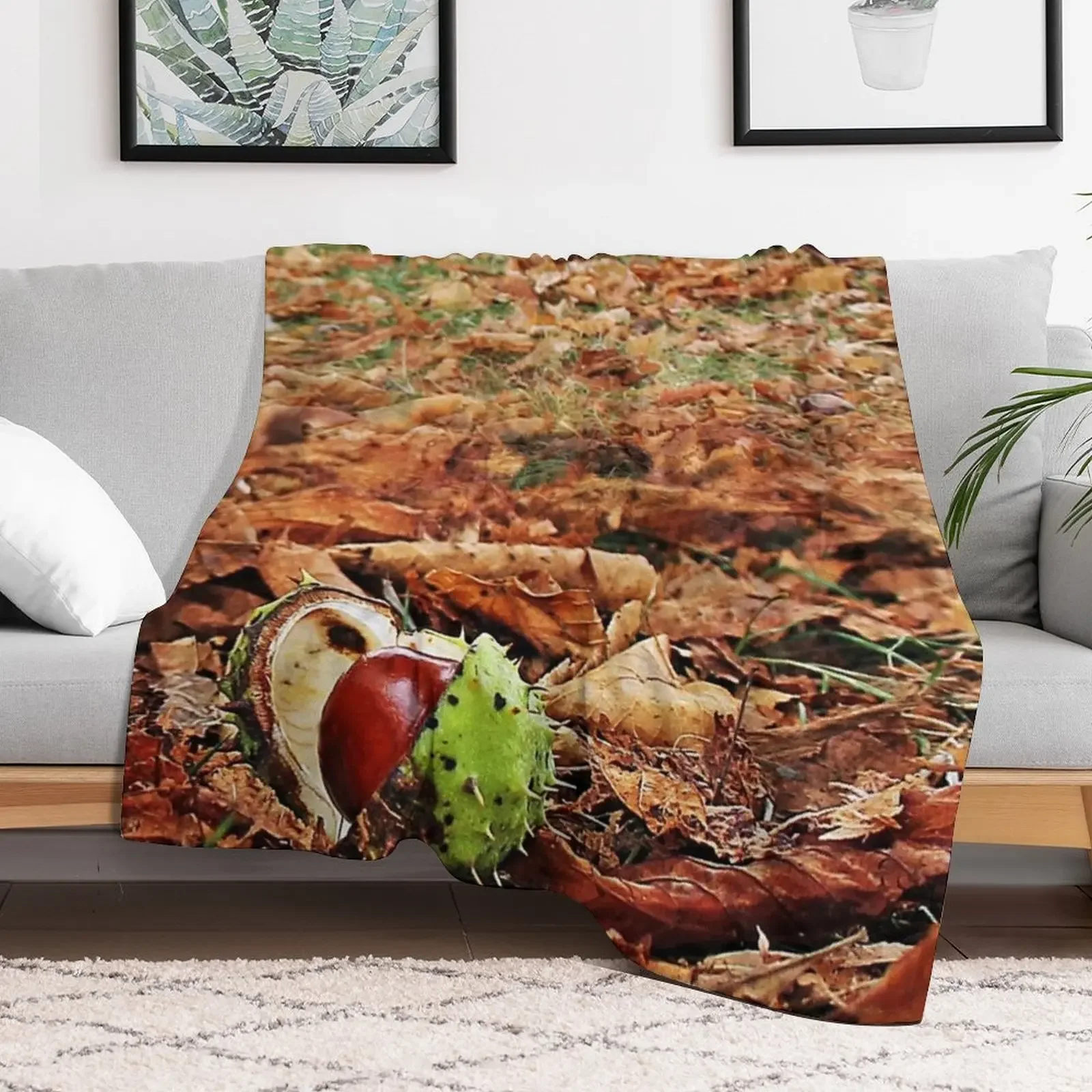 Одеяло conker Тяжелые одеяла и пледы на зиму Одеяла