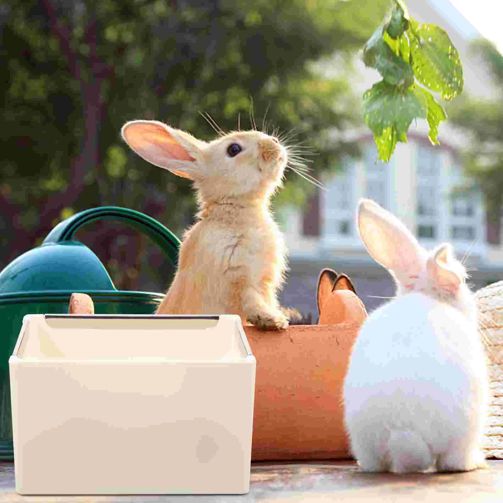 

Guinea Accessories Guinea Accessories Replaceable Guinea Accessories Washable Chinchilla Household Rat Rabbit Water