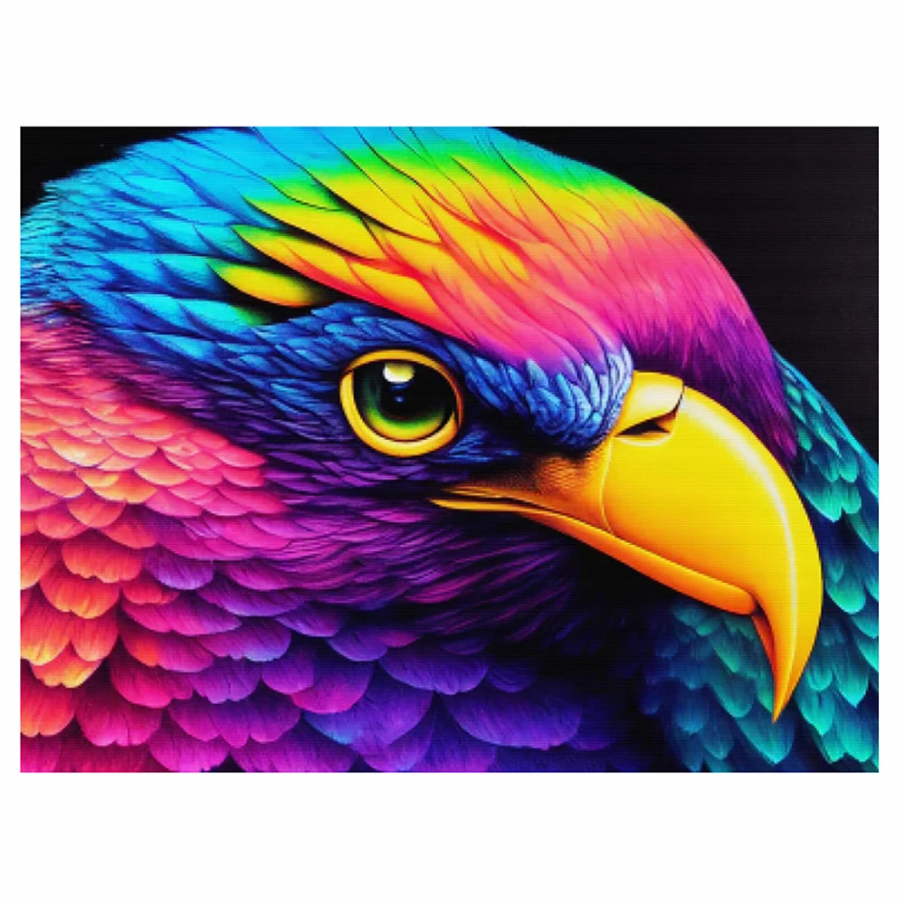 

DIY-5D Diamond Painting Landscape Colorful Eagle Eye Splice Set Full Diamond Embroidery Mosaic Picture Close