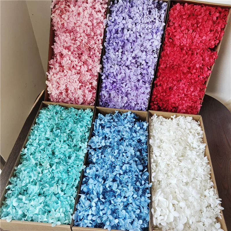 

A Grade Anna Hydrangea 100G Eternal Flowers High Quality Real Flowers Natural Flower Material Anna Petals Home Decoration