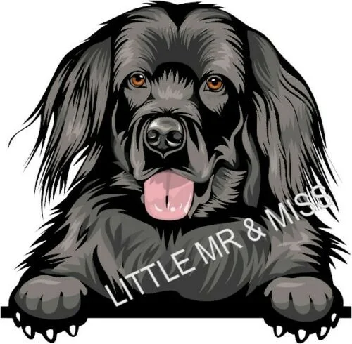 

For NEWFOUNDLAND Peeking DOG Breed Color Wall Window Laptop Sticker w/proof