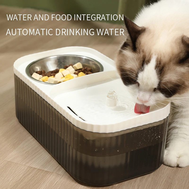 

Корм для собак и кошек, двойная миска, автоматический питьевой фонтан, миска из нержавеющей стали, наклонная миска для собак на 15 °, Набор принадлежностей для домашних животных