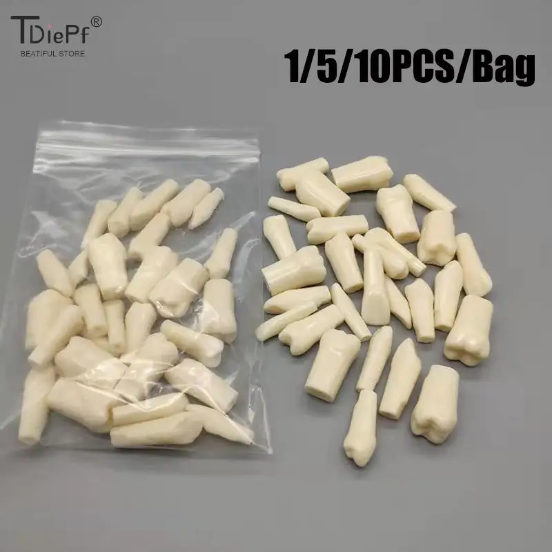 

1/5/10Pcs/bag Tooth Dental Model Teeth For Dentist Technician Practice Preparation Removable Tooth Dentistry Training Models