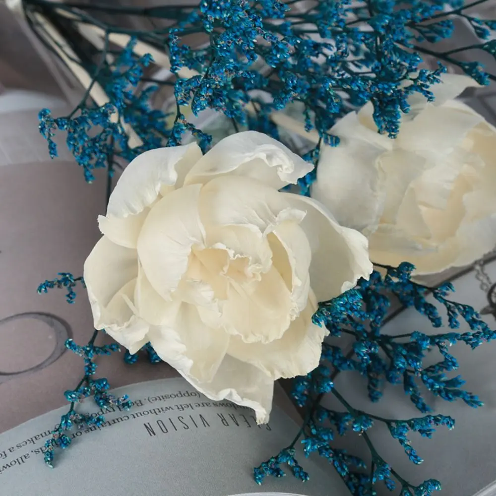 5 см многоцелевой для гостиной дома натуральные летучие ароматические