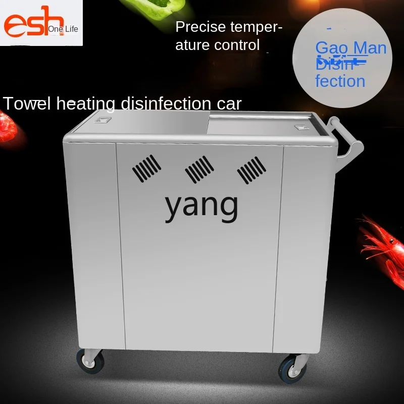 L'm нержавеющая сталь электрическое паровое полотенце дезинфекция