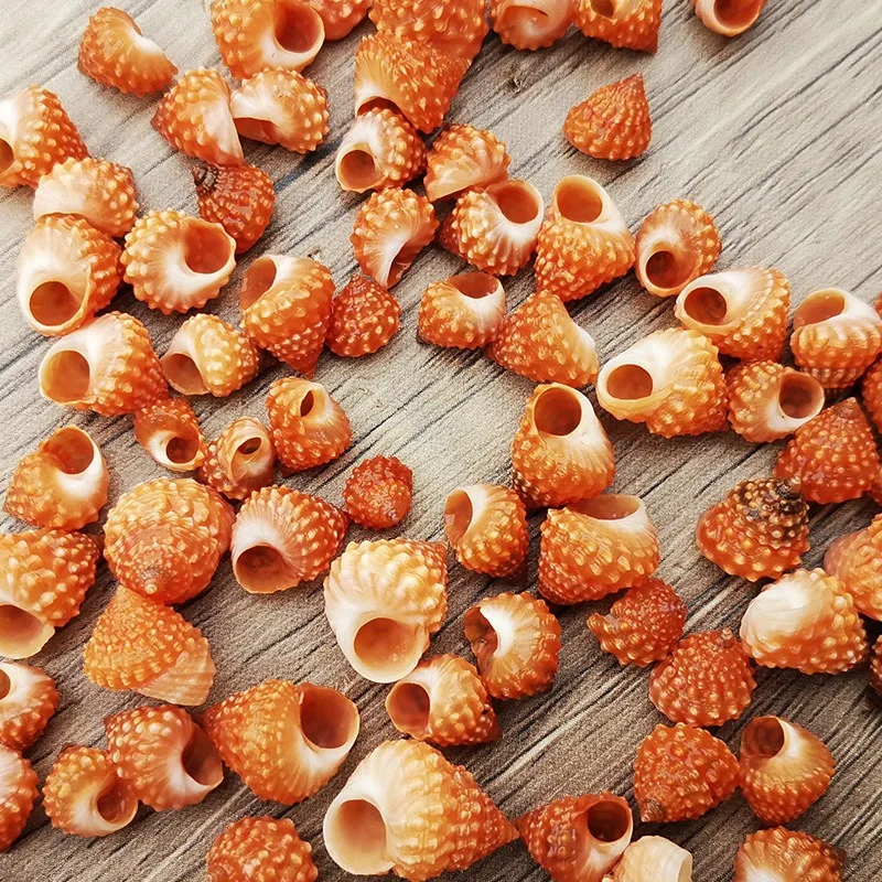 Природные змеи образец башни сменные рыболовные резервуары и микроландшафты для