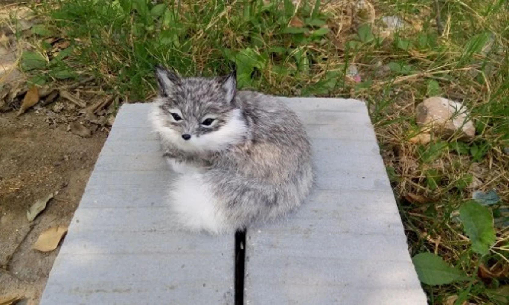 Моделирование серой лисы 13x12 см игрушка из полиэтилена и меха реквизит украшение