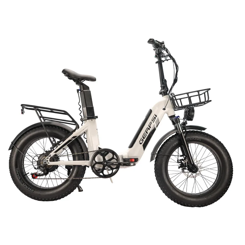 

Assistance Electric Bicycles 48V 500W Ebike Dual Battery Shock Absorption Disc Brake Aluminium Alloy All Terrain 20 Inches