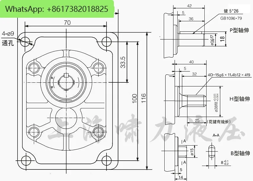 Гидравлический насос CBTt-F316F3P17 CBTt-F304/06/10/20/25 F3P17