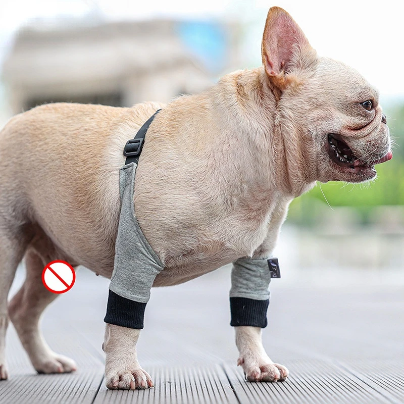 

Front Leg Pet Protective Cover, Cotton Autumn and Winter Joint Warmth, Dog Leg Cover Anti-licking Wound Knee Protection Pet