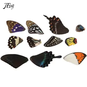 100 шт.лот, настоящие крылья бабочки, сделай сам, ювелирное изделие, искусство, случайный подарок, оптовая продажа, ручная работа