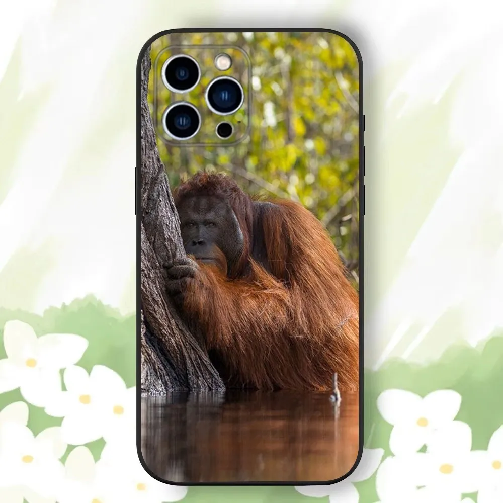 Чехол для телефона Monkey Sipping baboon iPhone 16 15 14 13 12 11 Plus Pro Max XS XR SE Mini 8 7 мягкий силиконовый
