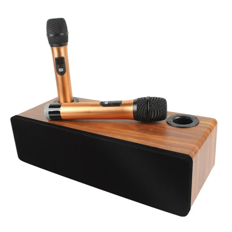 

Dual Wireless Microphone Audio Professional Party Karaoke Singing Speaker for Home