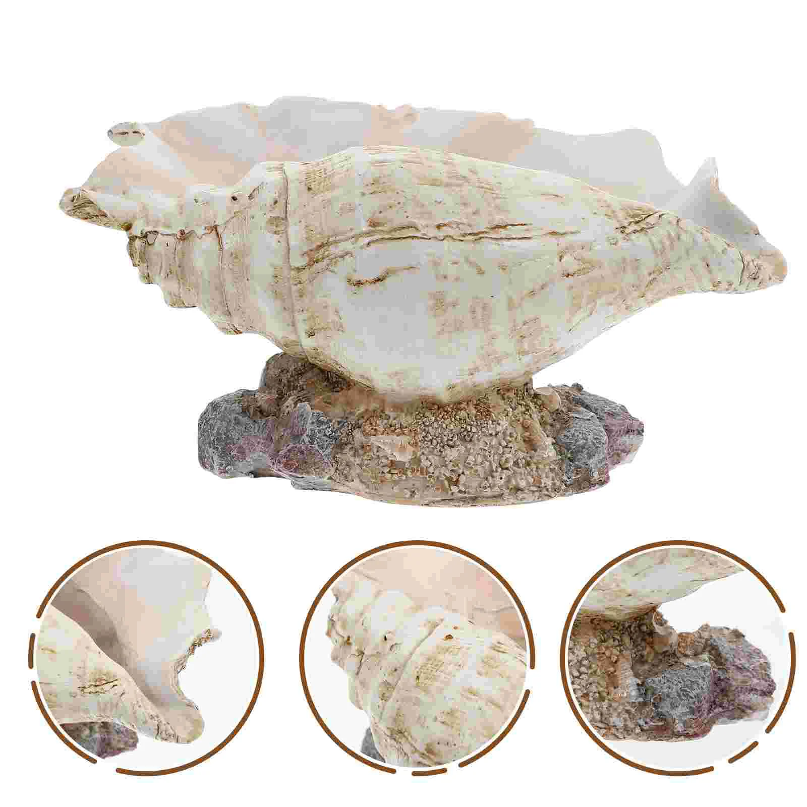 

Pot Flower Planter Succulentseashellpots Container Conch Bonsairesin Mini Decor Indoor Holder Decorative Shapeshellsmall