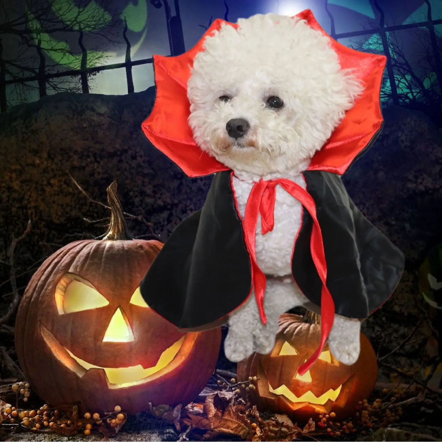 

Cute Halloween Pet Costumes Cosplay Vampire Cloak For Small Dog Cat Kitten Puppy Dress Kawaii Pet Clothes Cat Accessoties Gift