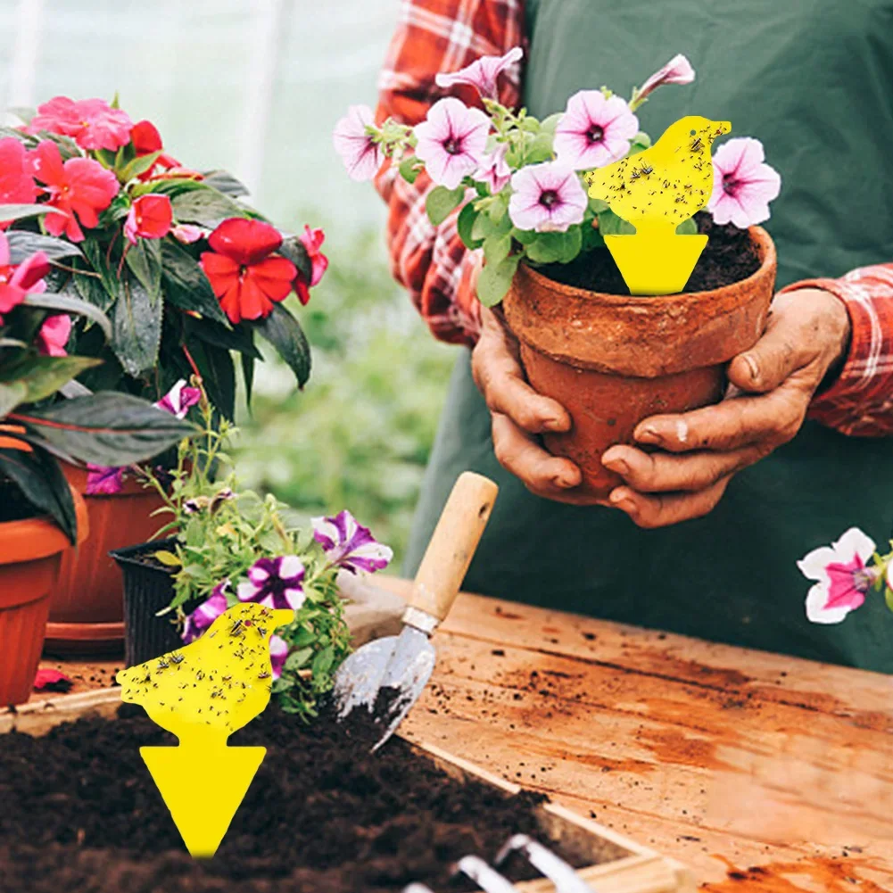 10-30 шт. пластиковые ловушки для насекомых