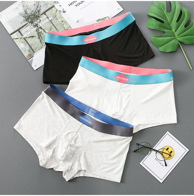 

3D U Pouch Panties Winter Boxers Shorts For Men Seamless Solid Color Underwear Modal Cotton Crotch Underpant Breathable Lingerie