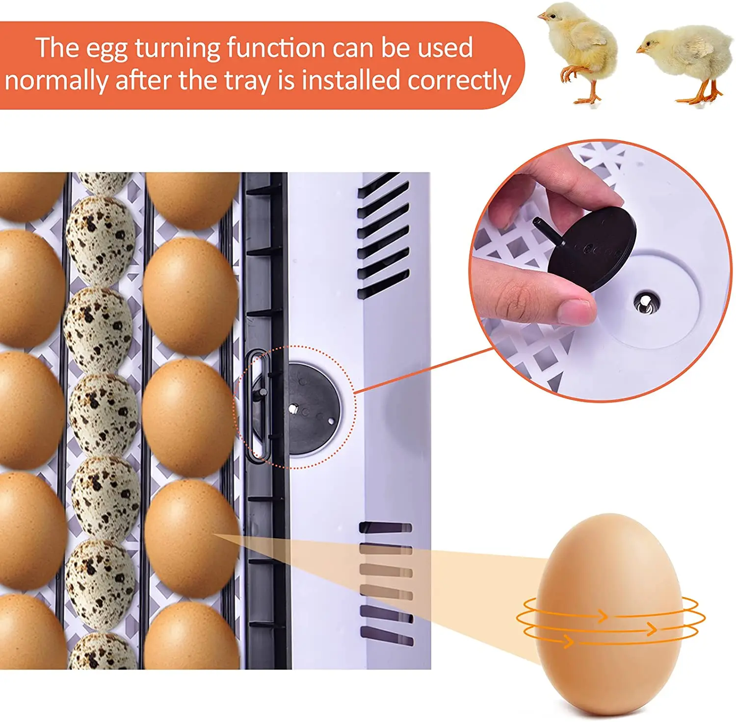 

HHD 12/36 egg incubator Rotating Shaft Plastic Spare Part