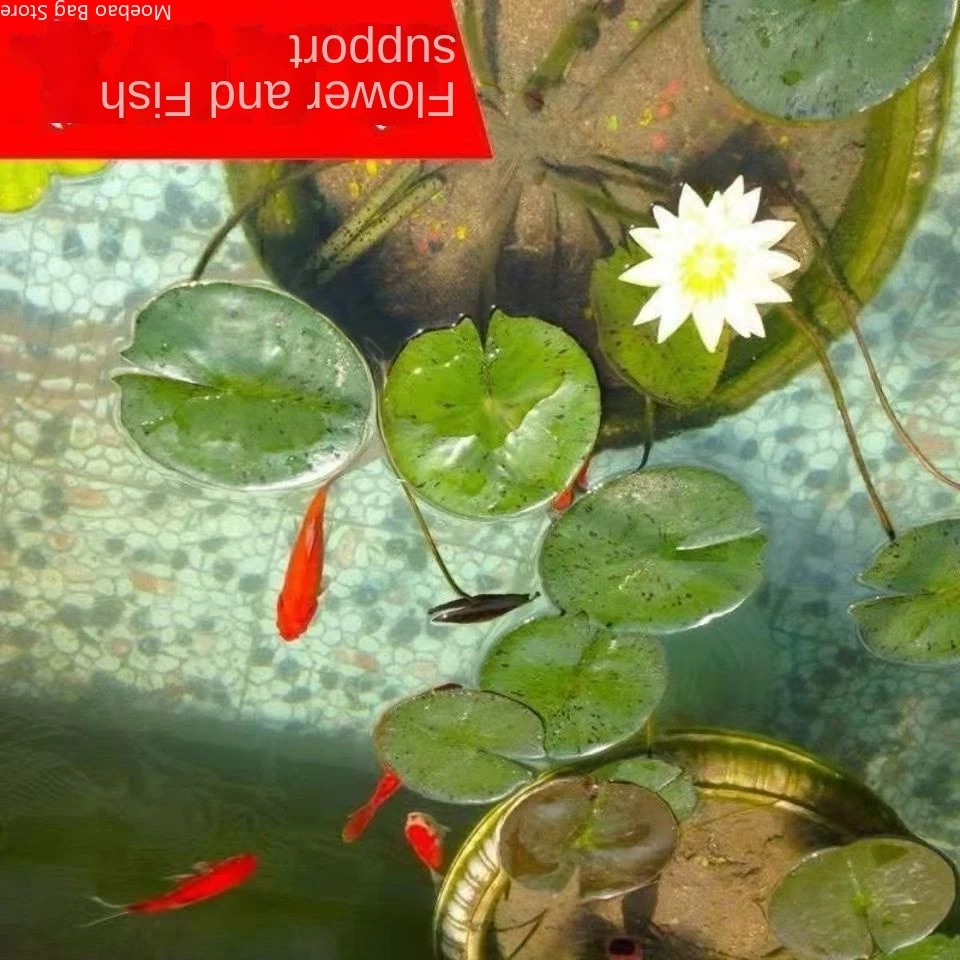 

8pcs Aquatic plants Aquarium decor Aquarium background grass Fish tank accessories Lazy novice landscaping lotus decoration