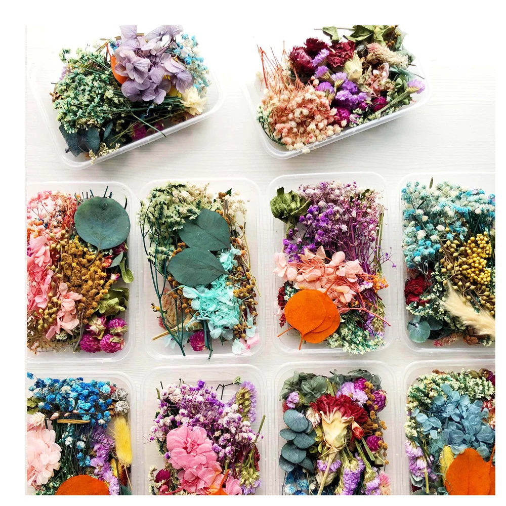 Настоящие сухие цветы рассеянный цветок маленький Звездный мини звезда