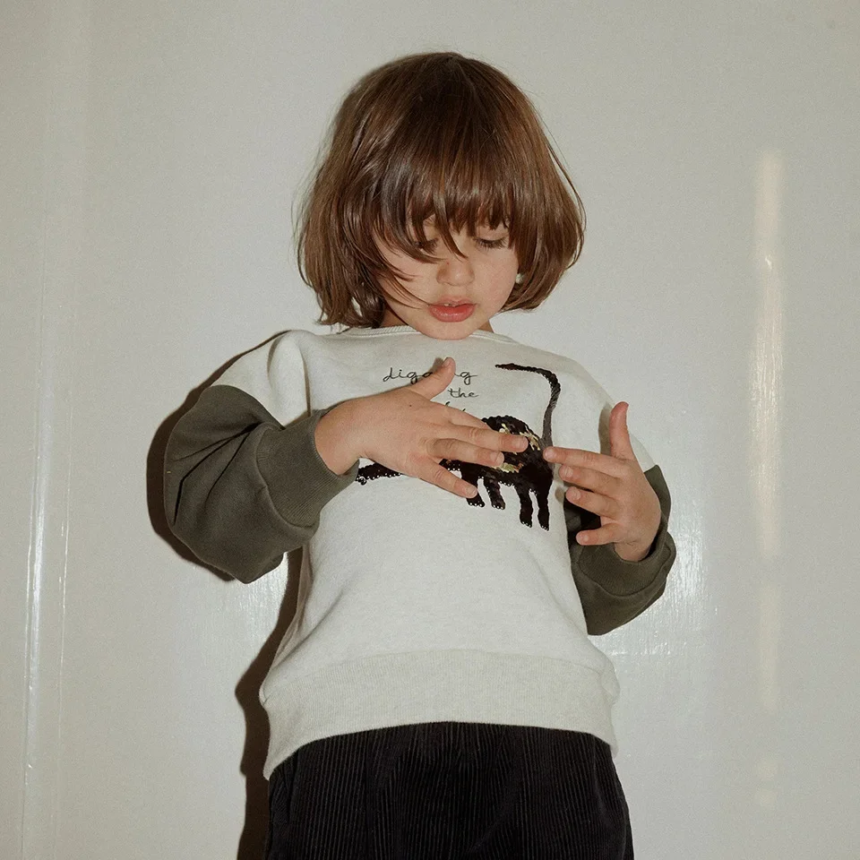 Детский хлопковый свитшот с рисунком панды и динозавра