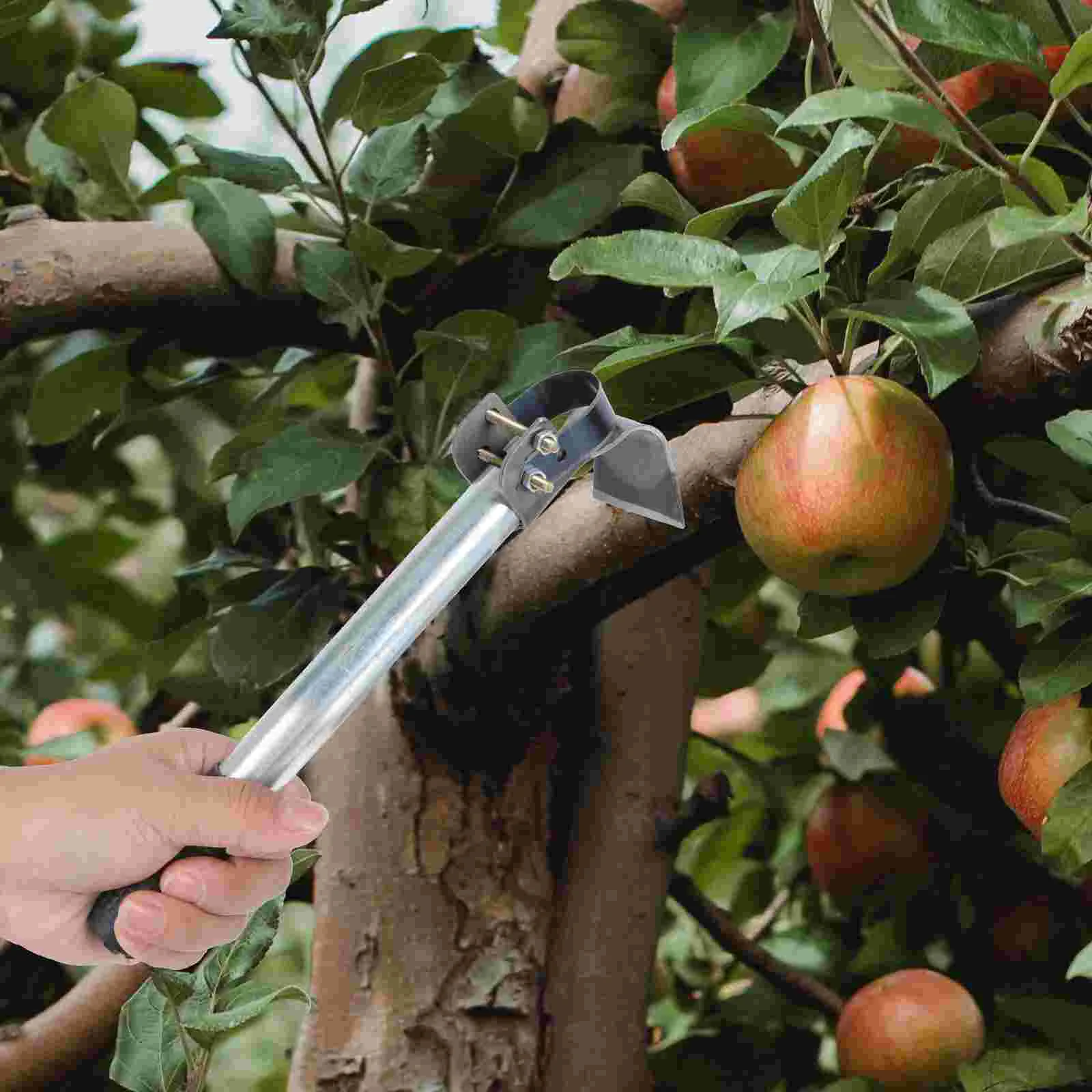 Скребок для коры инструмент зачистки деревьев резаки паркового дерева