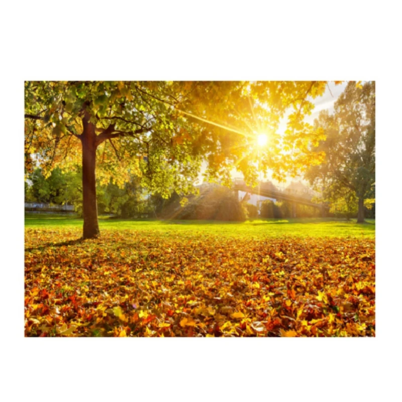 

Forest Tapestry Sun Rays Through Trees Countryside Scenic Wall Hanging For Bedroom Living Room Dorm Decor Easy To Use