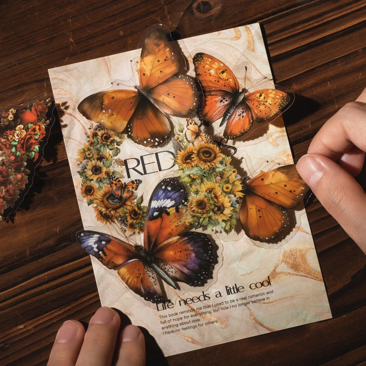 30 шт. Звезда Луна Серия Бабочка растения коллаж украшение телефонные наклейки DIY