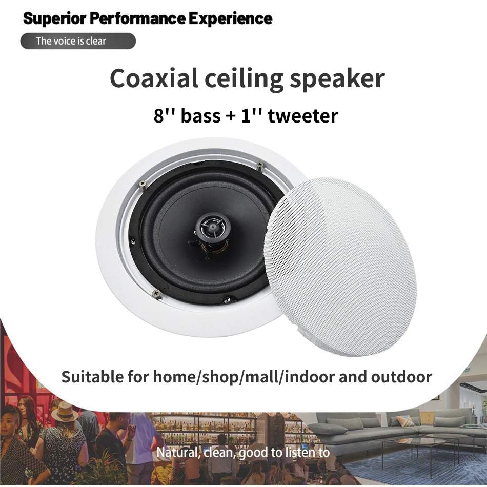 

HIFI Public System 40W Ceiling L Speaker 8 Inch Woofer 1 Inch Dome Tweeter Loudspeaker for Indoor Outdoor Public Broadcasting