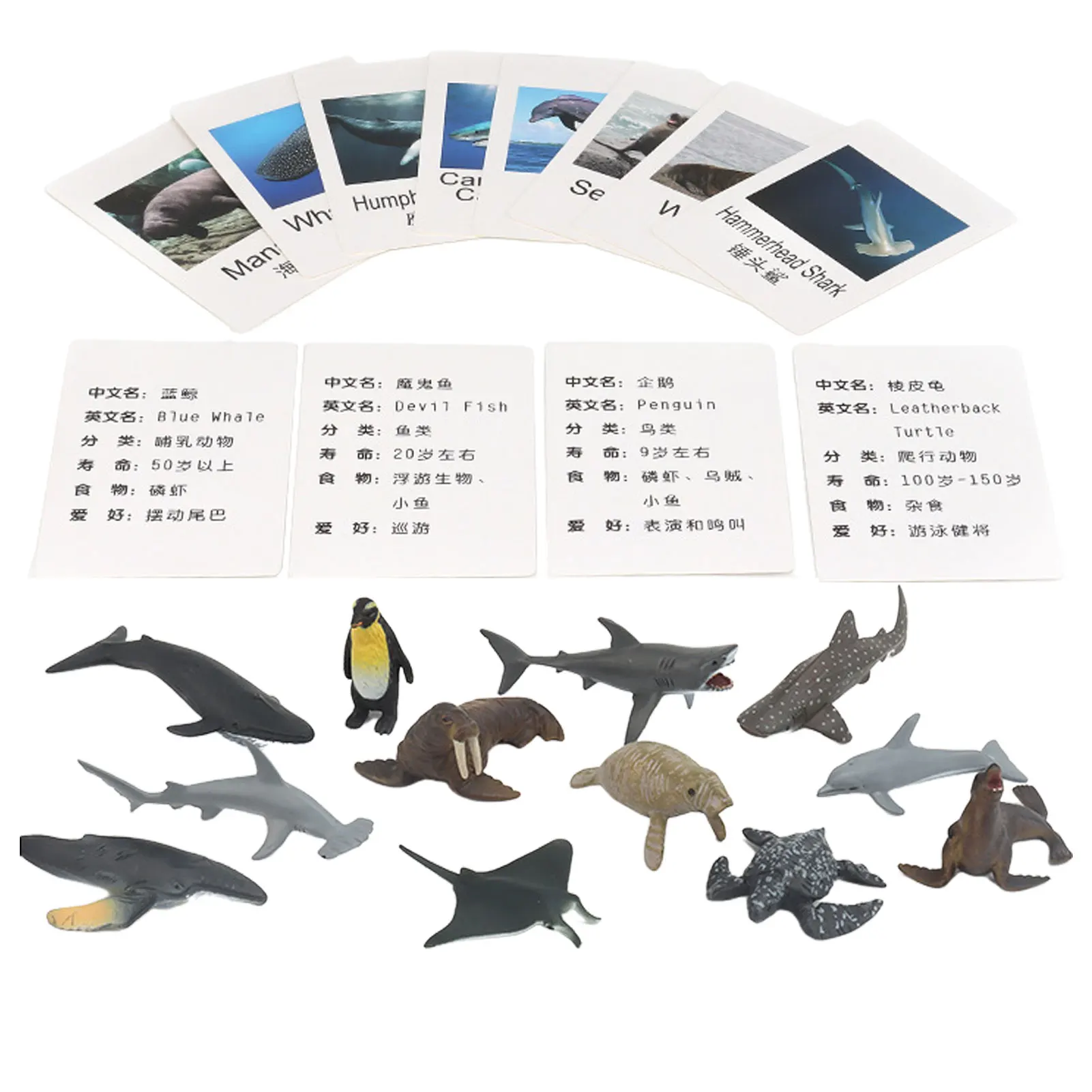 

Animal Models Matching Cards Animal Picture Memory Card Marine Animal Matching Cards Montessori Language Learning Material