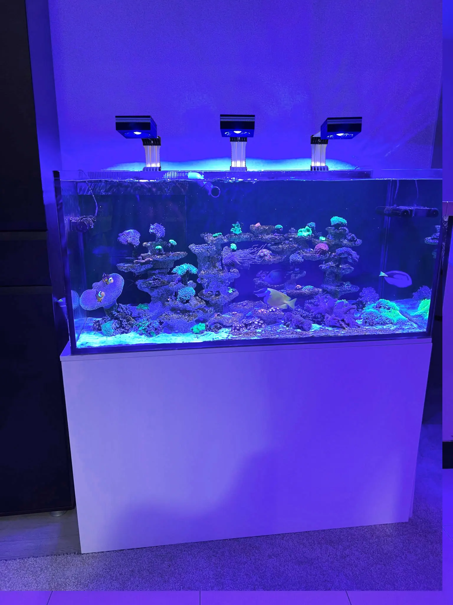 Фото Светодиодный светильник PopBloom Reef LED RL90 WiFi для морского аквариума с кораллами, 90 Вт, 120 Вт, 180 Вт №1