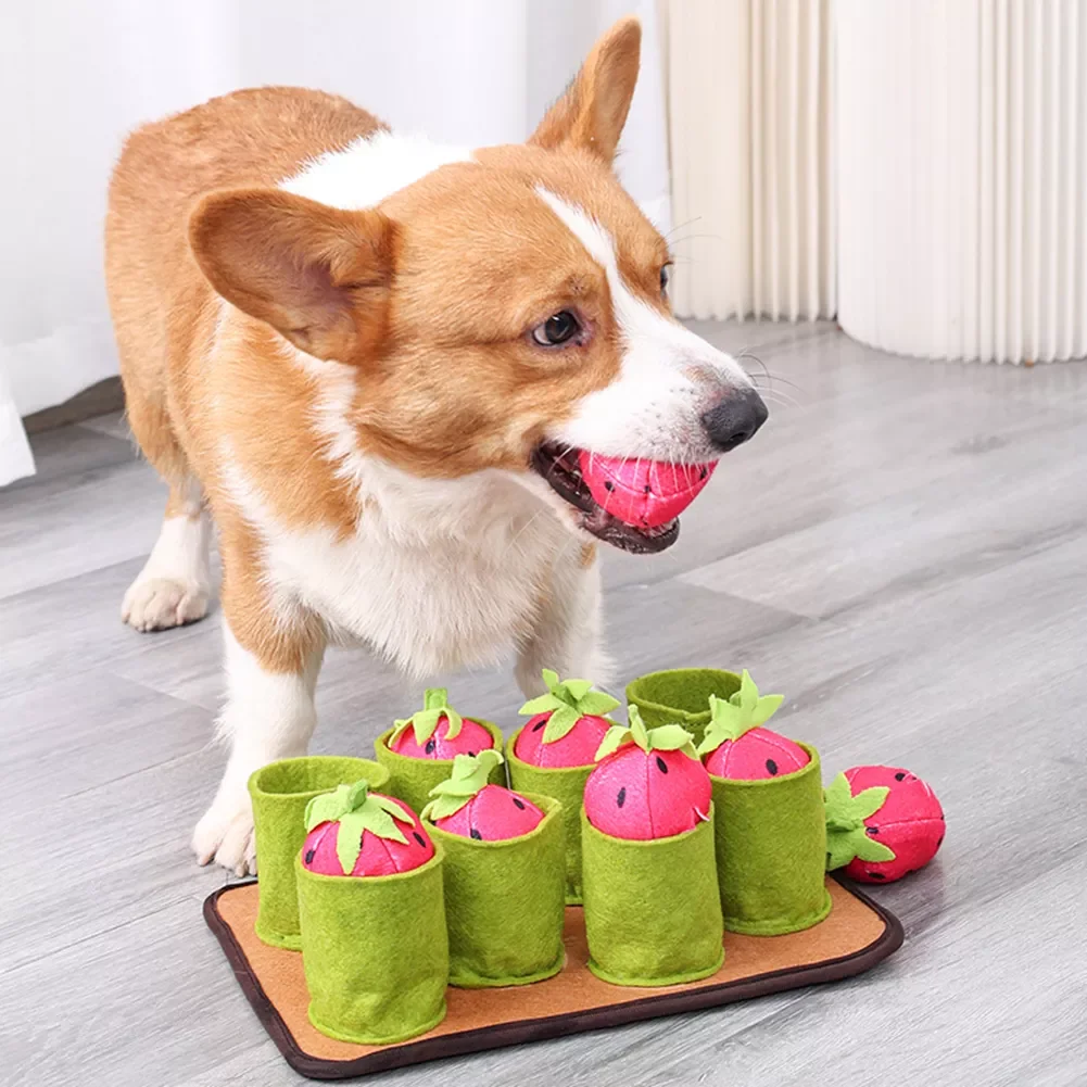 

Interactive IQ Dog Cat Snuffle Mat Puzzle Seek Food Feeder Chew Educational Toys Stress Release Pet Nose Pad