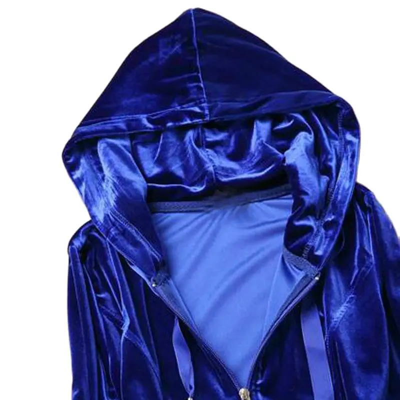 Весенне-осенний Женский бархатный брендовый Бархатный спортивный костюм из