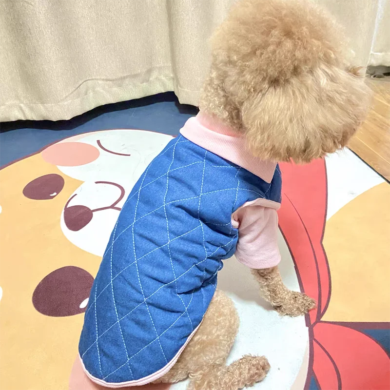 Одежда для собак роскошный модный зимний костюм щенка футболка + жилет маленьких