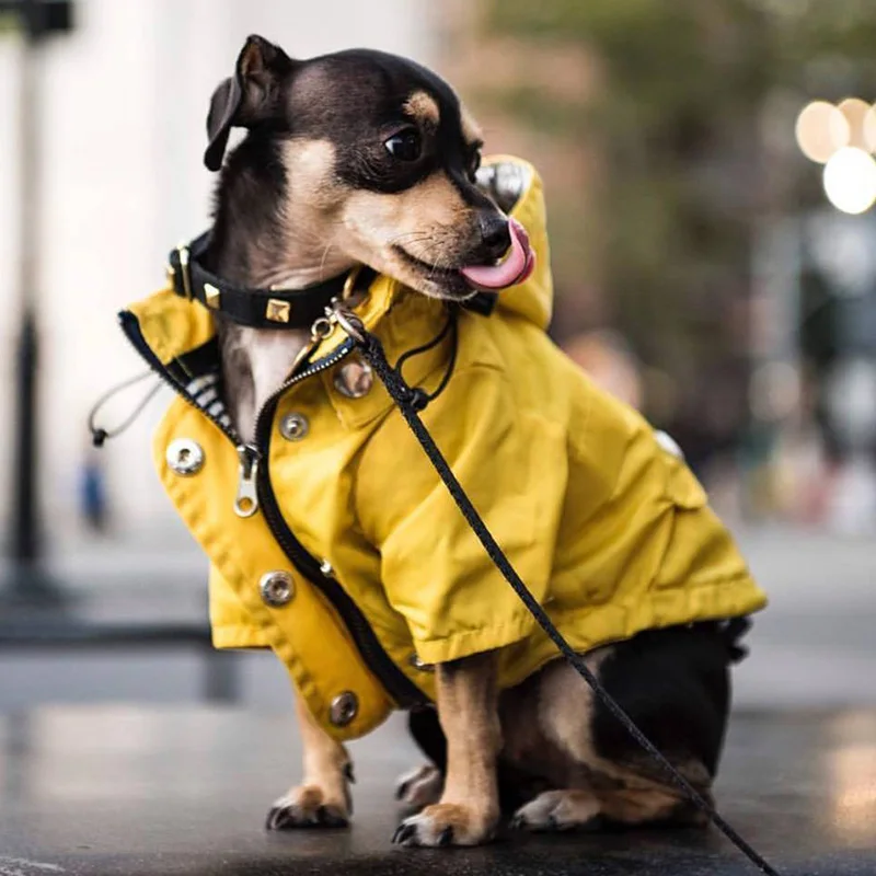 

Pet Dog Yellow Raincoat with Pockets PU French Bulldog Clothes for Small Dogs Waterproof Puppy Coat Dog Jacket Dog Accessories