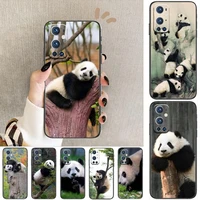 cute chinese panda animal for oneplus nord n100 n10 5g 9 8 pro 7 7pro case phone cover for oneplus 7 pro 17t 6t 5t 3t case