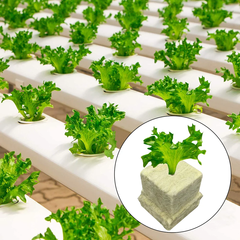 50Pcs/lot Planting Sponge Grow Garden Starter Cubes Plug Soilless Culture Substrate  Hydroponic Rockwool Grow Media