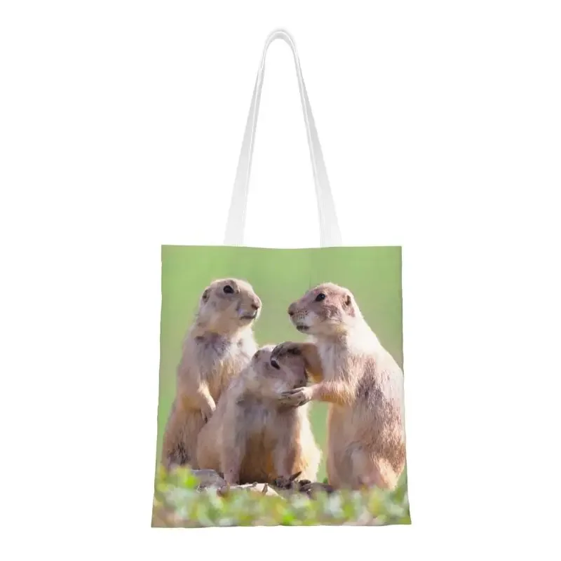 Переработанная Акварельная сумка для покупок собак Женская Холщовая Сумка-тоут