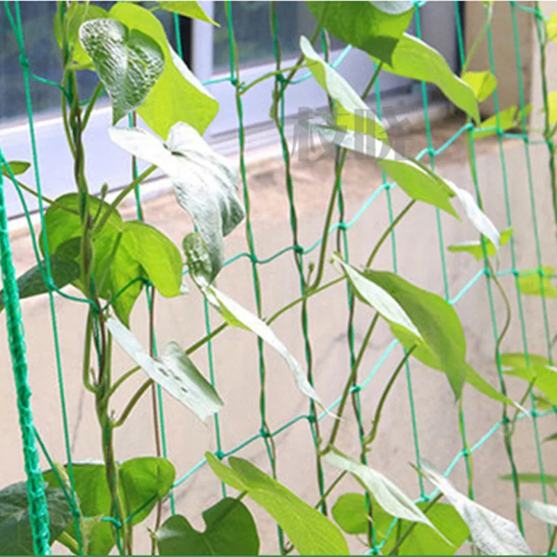 

Garden Netting Fine Mesh Garden Netting Plant Netting Garden Netting For Veg Patch Garden Netting For Plants