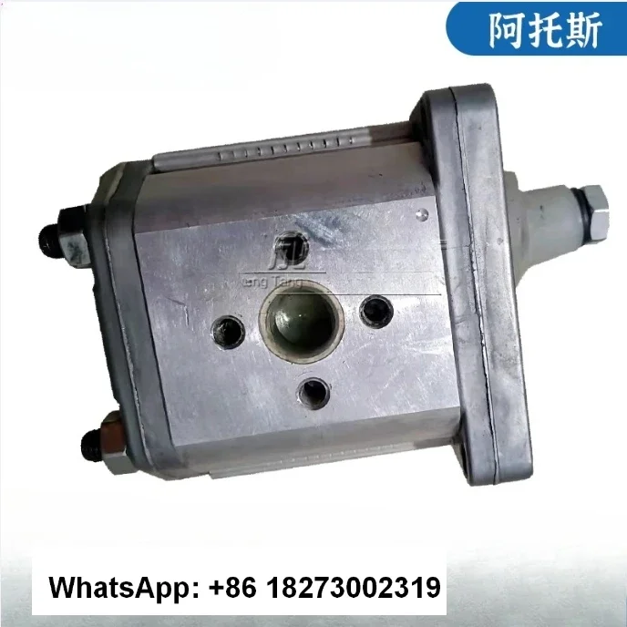 Шестеренчатый насос итальянского гидравлического насоса Масляный