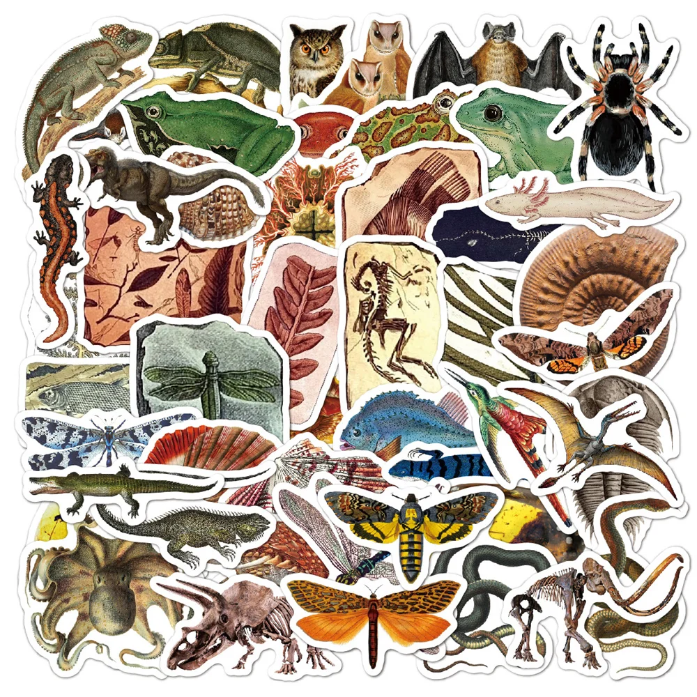 

50pcs Ancient Creatures Fossil Stickers For Notebooks Laptop Sketchbook Vintage Sticker Craft Supplies Scrapbooking Material
