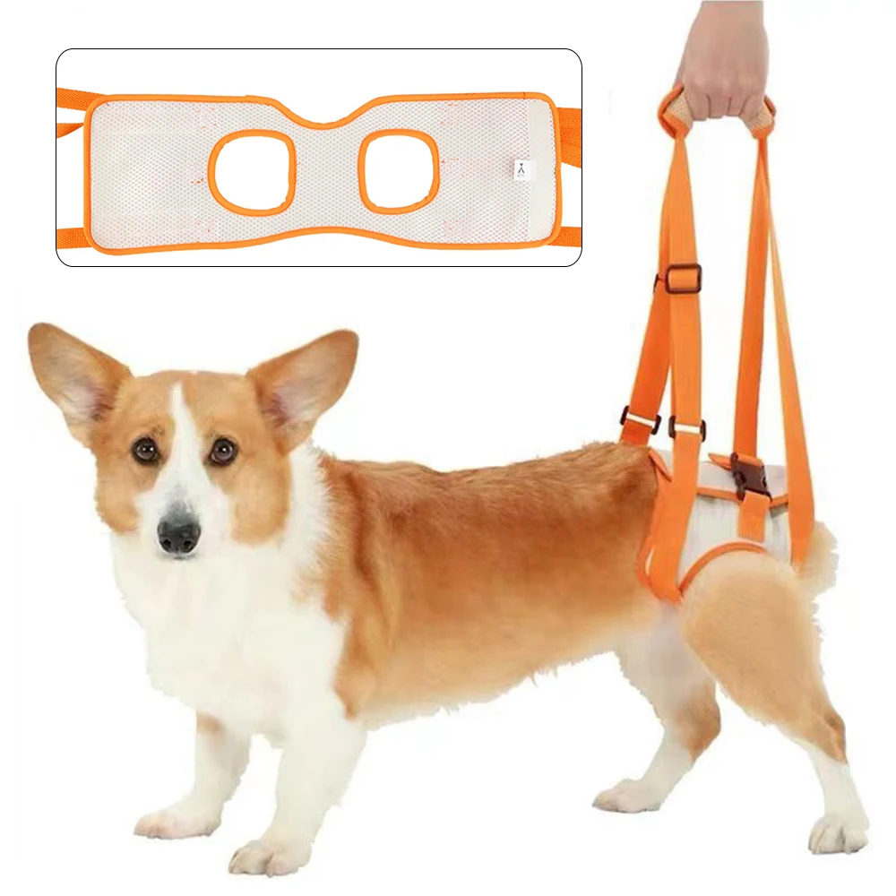 

Регулируемый опорный ремень для собак, подъемный жилет для собак и щенков