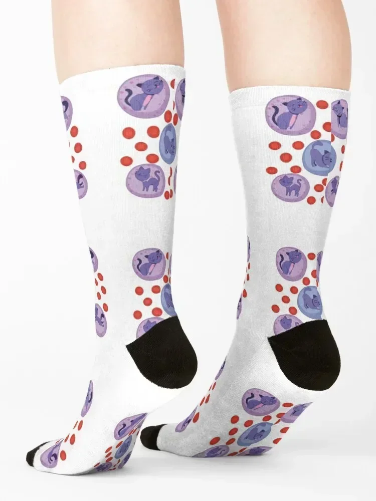 Забавные гематологические кошки - Клетки с белой кровью кошка WBCs MLS Кошки кошачий