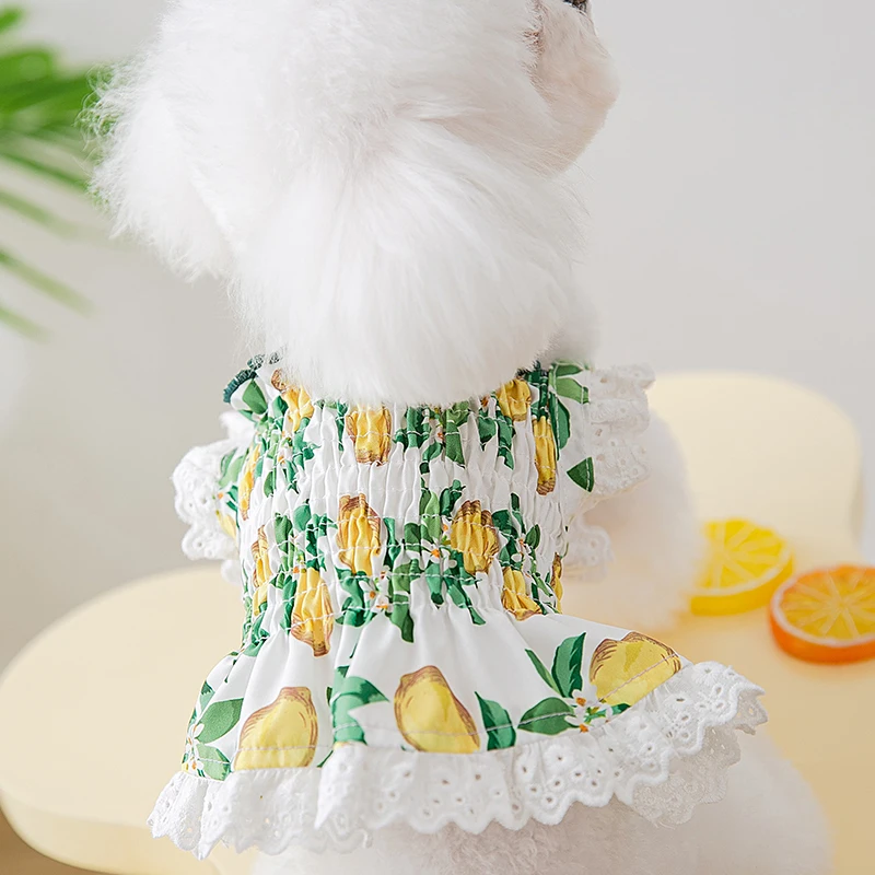 

Pet Dress Dog Clothes Summer Cat Puppy Apparel for Chihuahua Yorkshire Pomeranian Costumes Poodle Schnauzer Maltese Dog Clothing