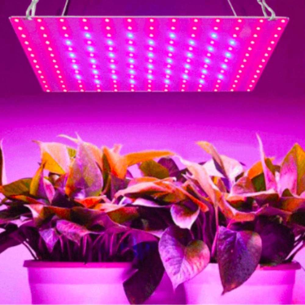 

25W 45W Growth Lamp For Plants Led Grow Light Full Spectrum Phyto Lamp Fitolampy Indoor Herbs Light For Greenhouse Led Grow Tent