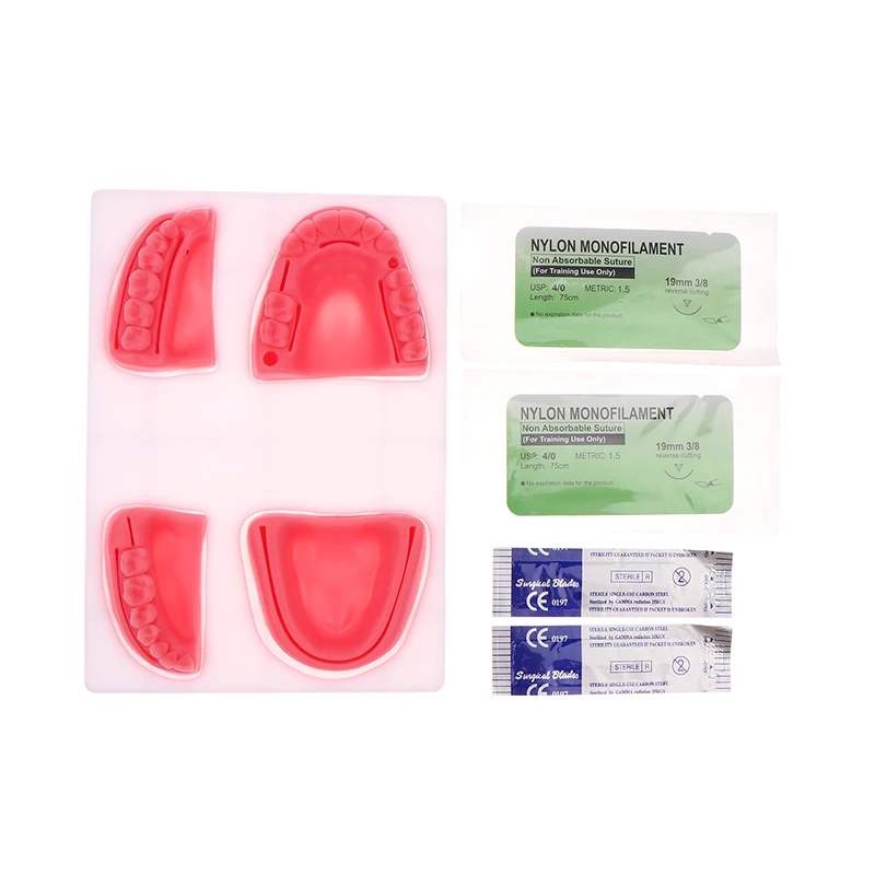 Набор для обучения стоматологической хирургии HNKMP брендовая стоматологическая