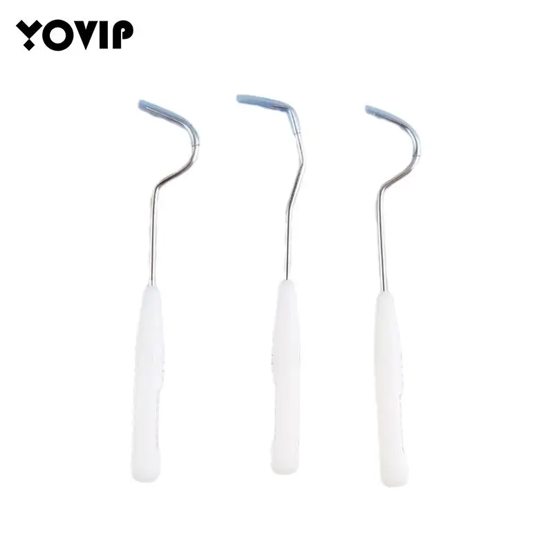 

20 Pcs Stainless Steel Toothpick Portable Oral Cleaning Hook Professional Dentist Teeth Clean Hygiene Explorer Probe Hook Pick