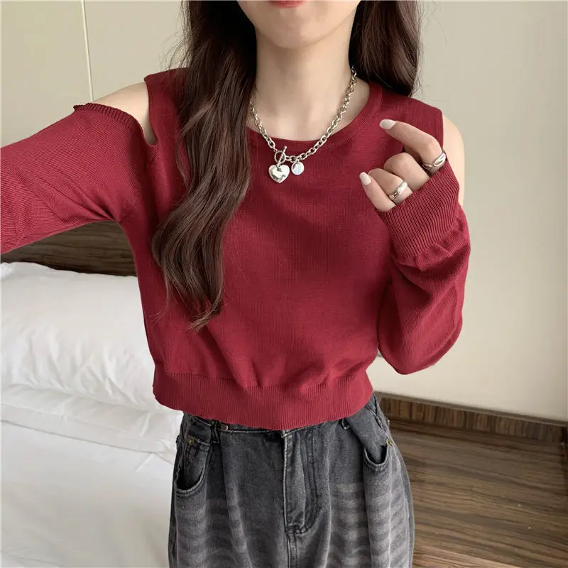 

Design Sense Hollow Long-sleeved Knitwear 2023 Autumn New Female Network Red Explosive Short Small Base Top Crop Top Women Y2k