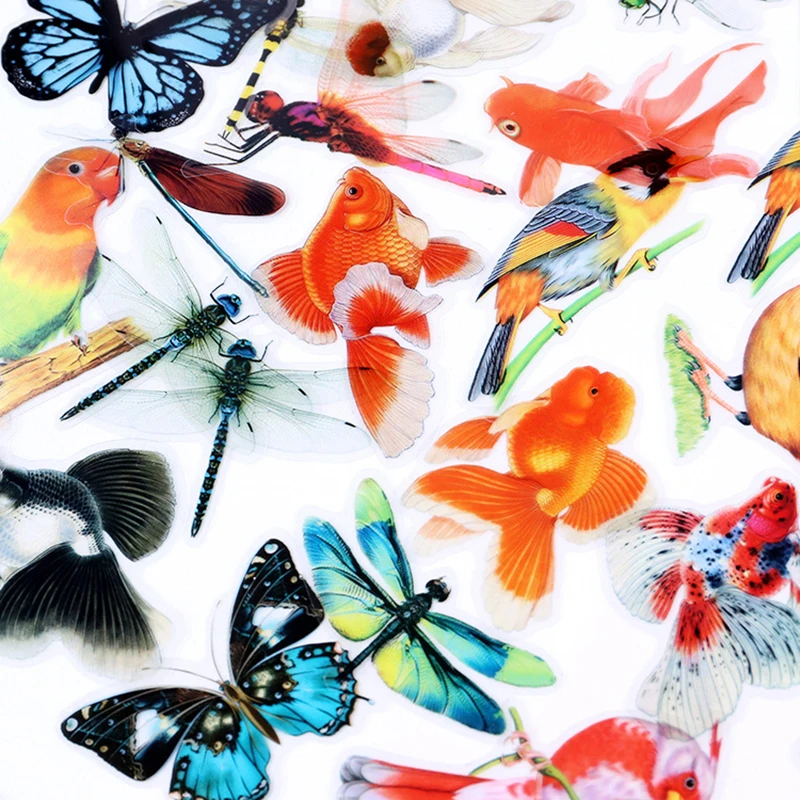

30 packs Wholesale Decorative sticker PET transparent creative animal butterfly parrot goldfish dragonfly Scrapbook 4 choices